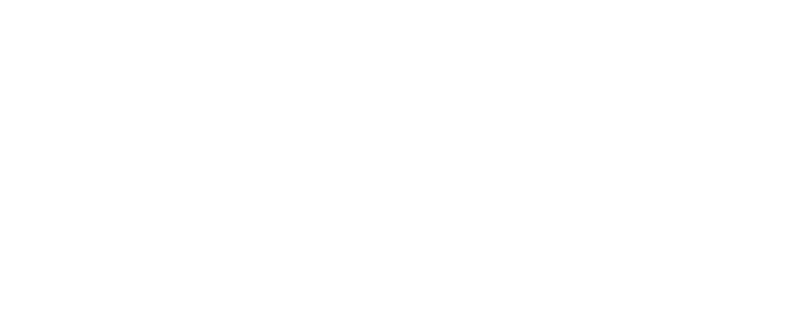 Ortiz Fischer